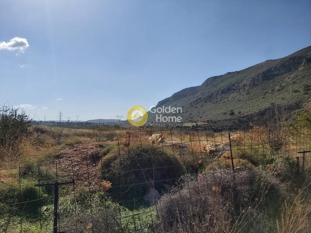 Building Plot in Linoperamata, Gazi — Photo 3 of 5