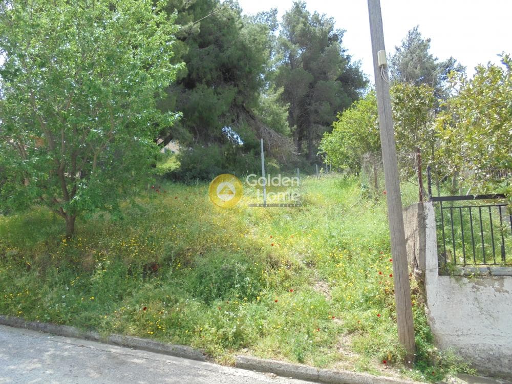 Building Plot in Anthousa, Anthoisa — Photo 1 of 3