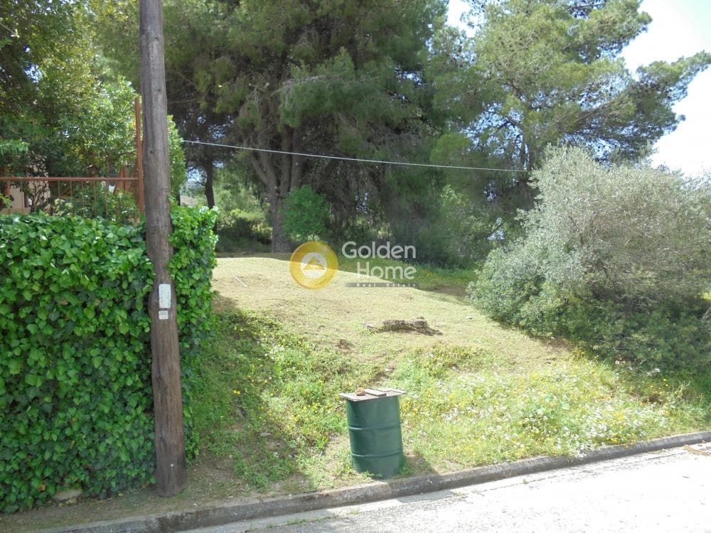 Building Plot in Anthousa, Anthoisa — Photo 2 of 3