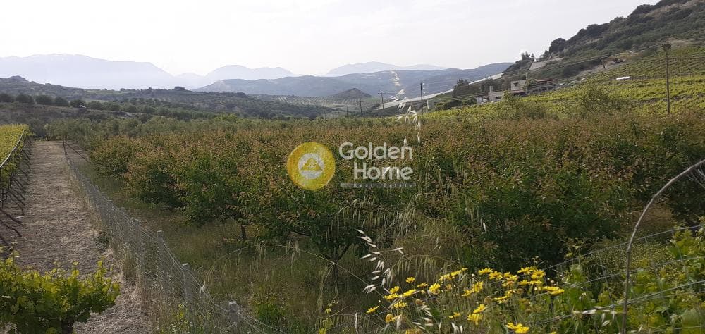 Αγροτεμάχιο στην Κέντρο, Αρχάνες — Φωτογραφία 2 από 9