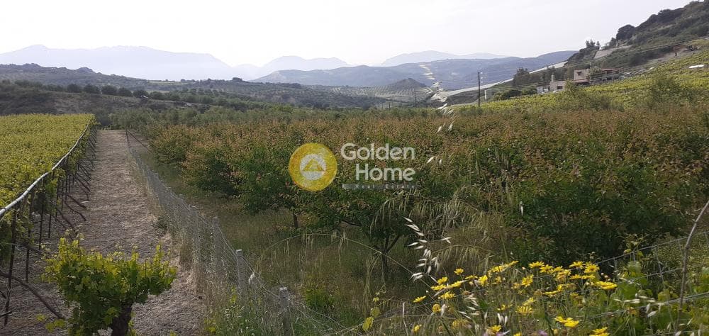 Αγροτεμάχιο στην Κέντρο, Αρχάνες — Φωτογραφία 3 από 9