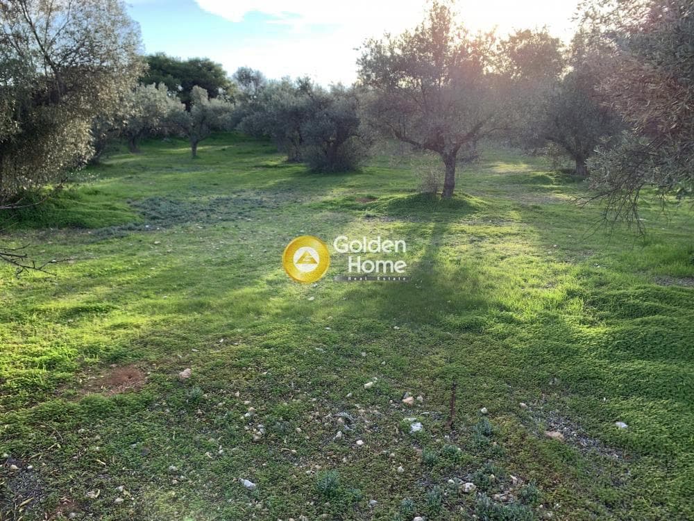 Parcel in Center, Koropi — Photo 2 of 3