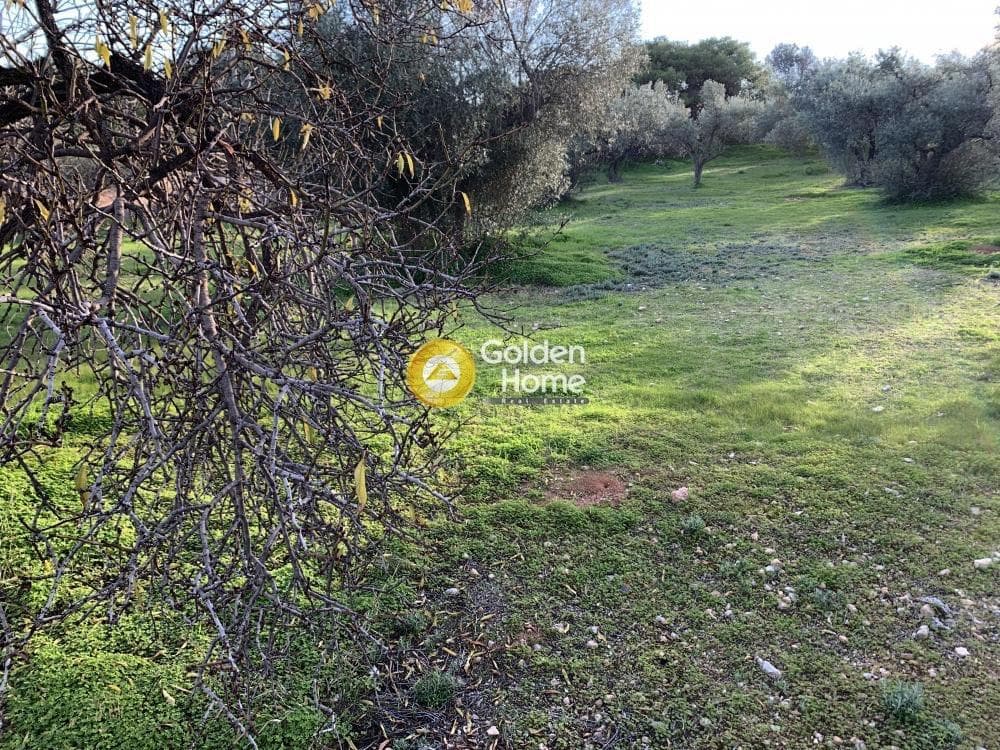 Parcel in Center, Koropi — Photo 3 of 3