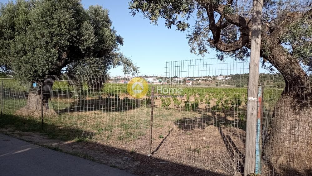 Parcel in Neapoli, Spata — Photo 2 of 6