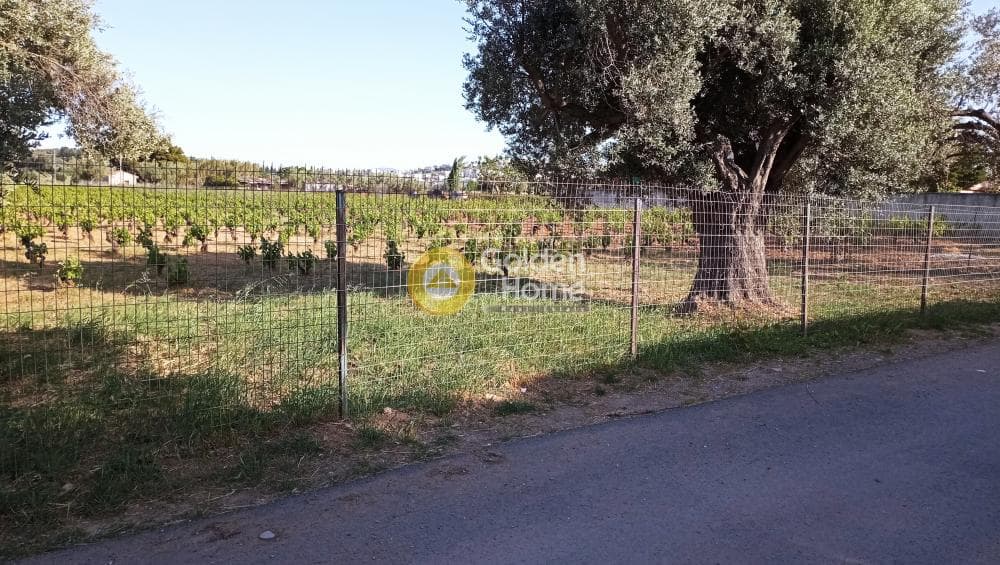 Parcel in Neapoli, Spata — Photo 5 of 6