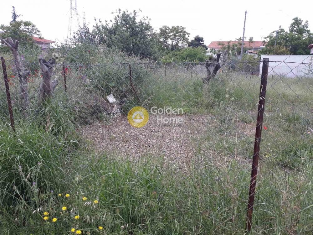Αγροτεμάχιο στην Μεγάλα Σχοινία Α, Αχαρνές — Φωτογραφία 2 από 5