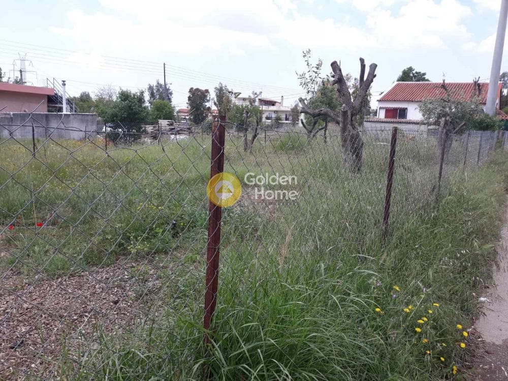 Αγροτεμάχιο στην Μεγάλα Σχοινία Α, Αχαρνές — Φωτογραφία 4 από 5