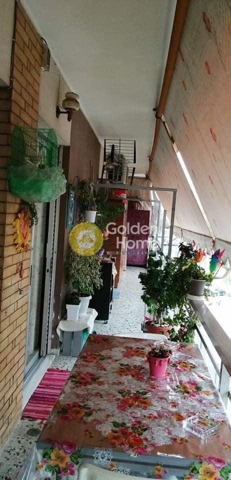 Apartment in Ano Rentis, Agios Ioannis Rentis — Photo 8 of 8
