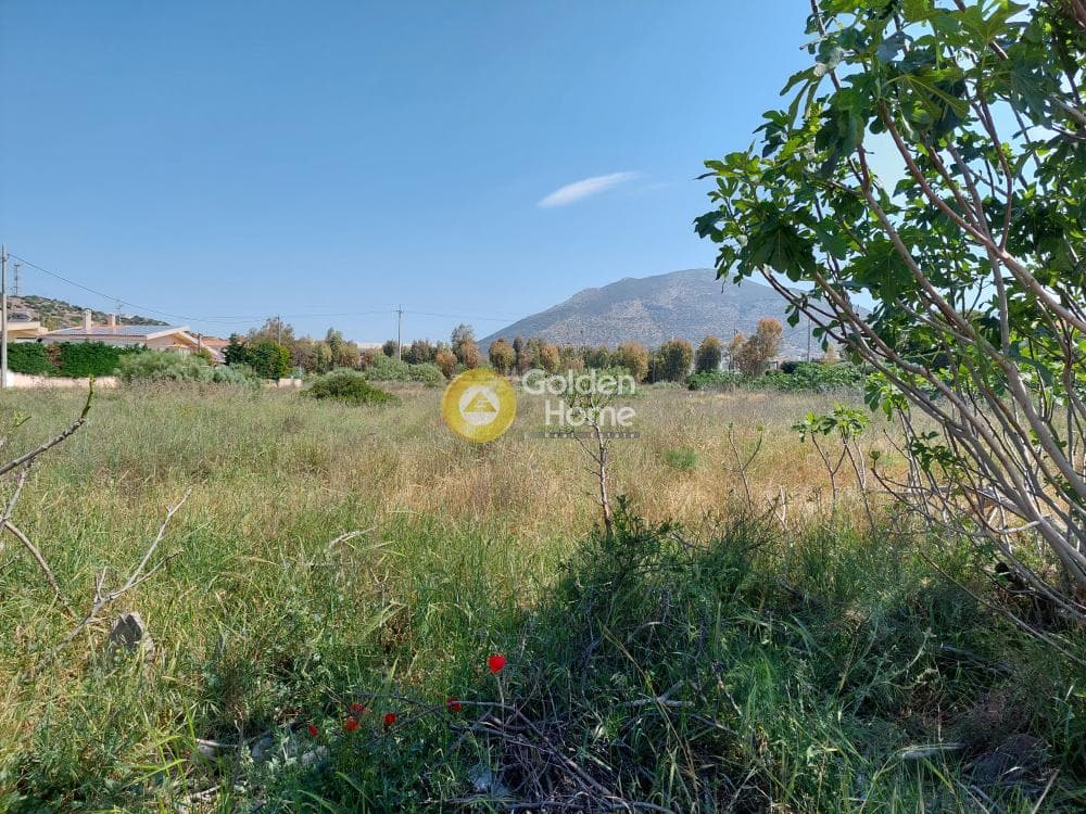 Οικόπεδο στην Πάτημα, Χαλάνδρι — Φωτογραφία 2 από 15