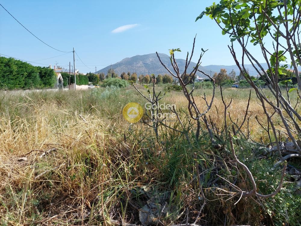 Οικόπεδο στην Πάτημα, Χαλάνδρι — Φωτογραφία 3 από 15