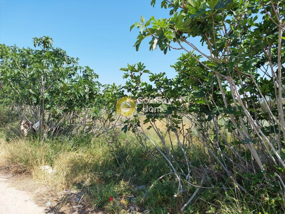 Οικόπεδο στην Πάτημα, Χαλάνδρι — Φωτογραφία 5 από 15