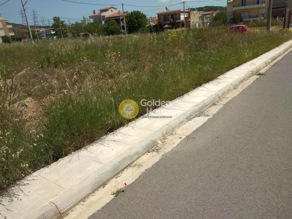 Οικόπεδο στην Δροσούπολη, Άνω Λιόσια — Φωτογραφία 4 από 11