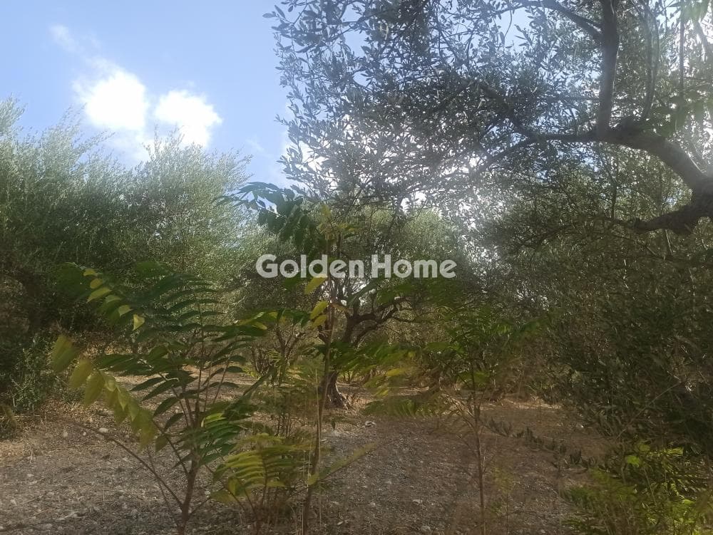 Building Plot in Center, Mallia — Photo 1 of 4