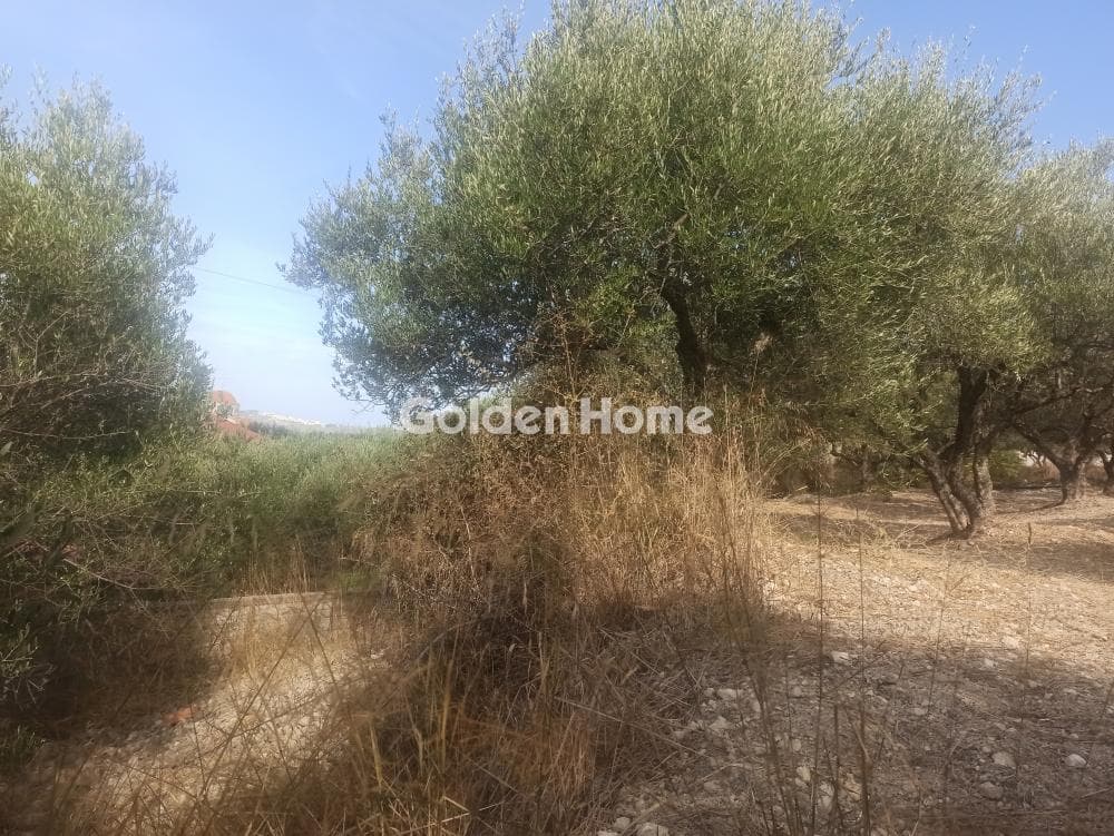 Building Plot in Center, Mallia — Photo 2 of 4