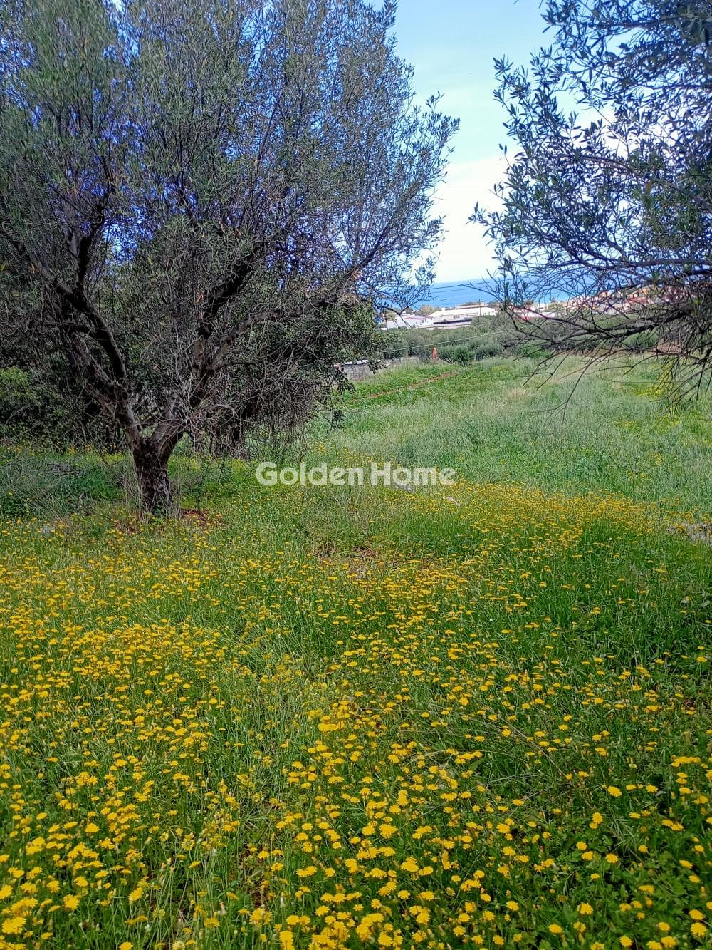 Building Plot in Center, Mallia — Photo 1 of 6