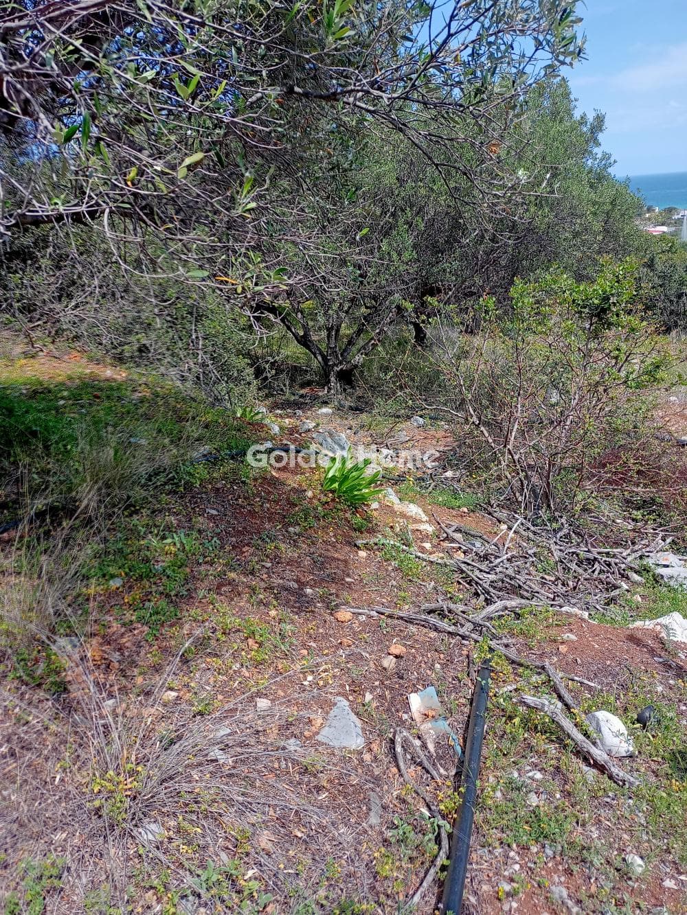 Building Plot in Center, Mallia — Photo 2 of 6