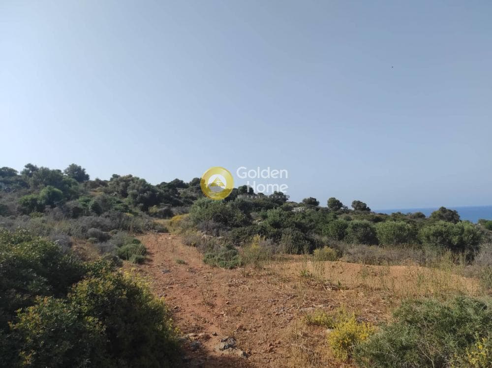 Οικόπεδο στην Αγία Βαρβάρα, Μάλλια — Φωτογραφία 8 από 13