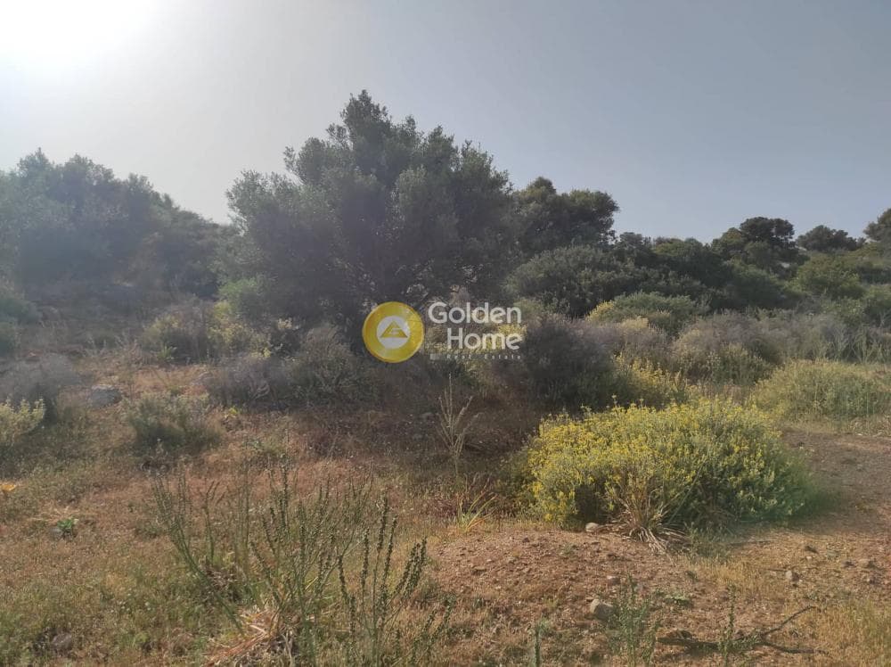 Οικόπεδο στην Αγία Βαρβάρα, Μάλλια — Φωτογραφία 9 από 13