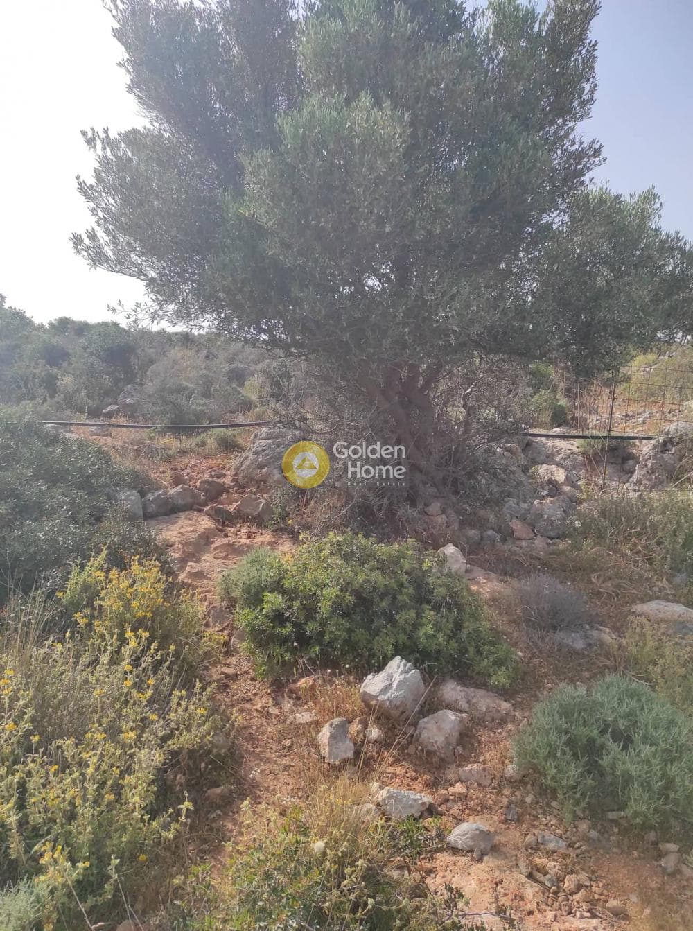 Οικόπεδο στην Αγία Βαρβάρα, Μάλλια — Φωτογραφία 10 από 13
