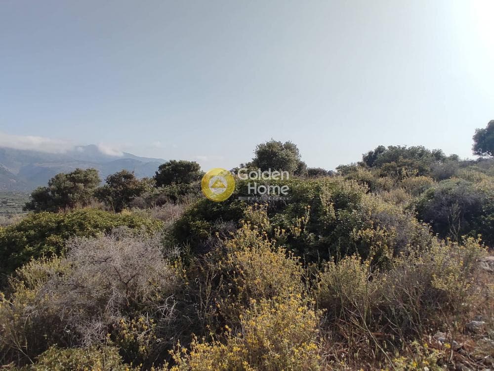Οικόπεδο στην Αγία Βαρβάρα, Μάλλια — Φωτογραφία 11 από 13