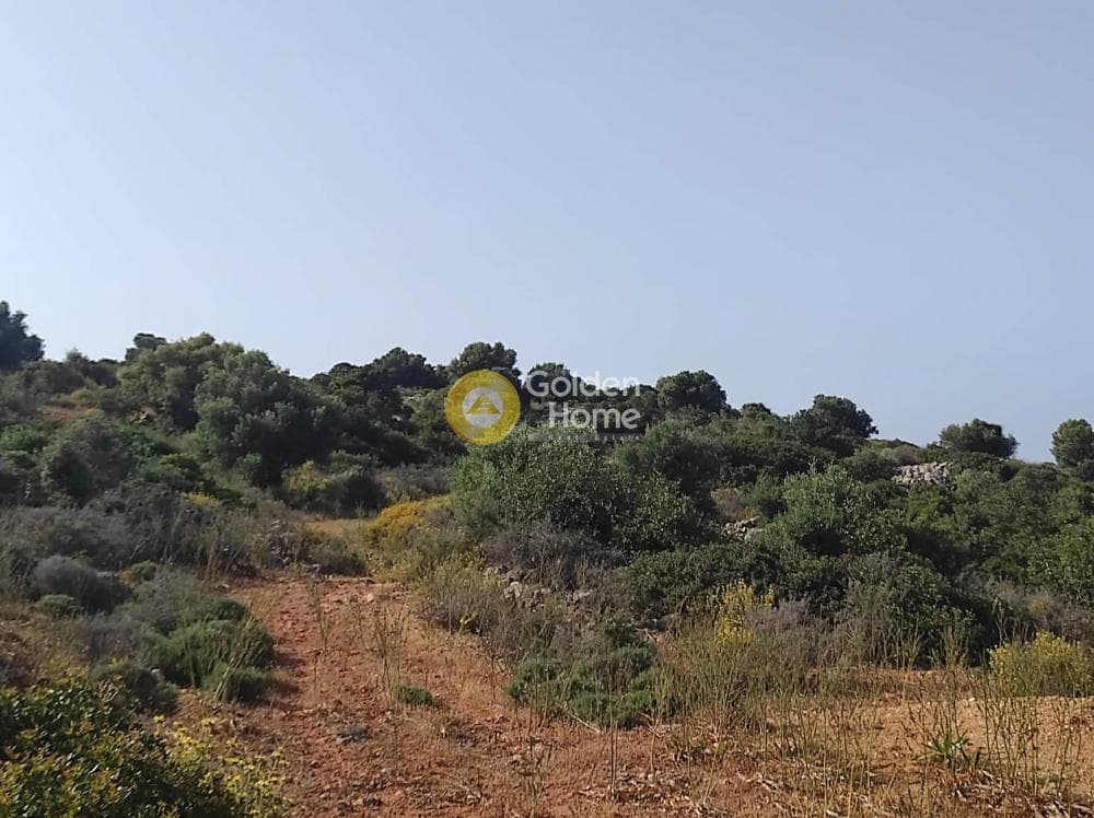 Οικόπεδο στην Αγία Βαρβάρα, Μάλλια — Φωτογραφία 12 από 13