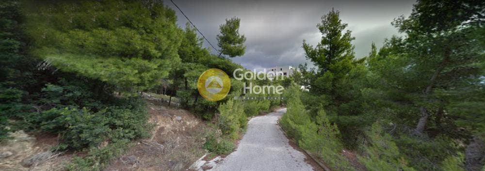 Οικόπεδο στην Δασαμάρι, Πικέρμι — Φωτογραφία 3 από 6
