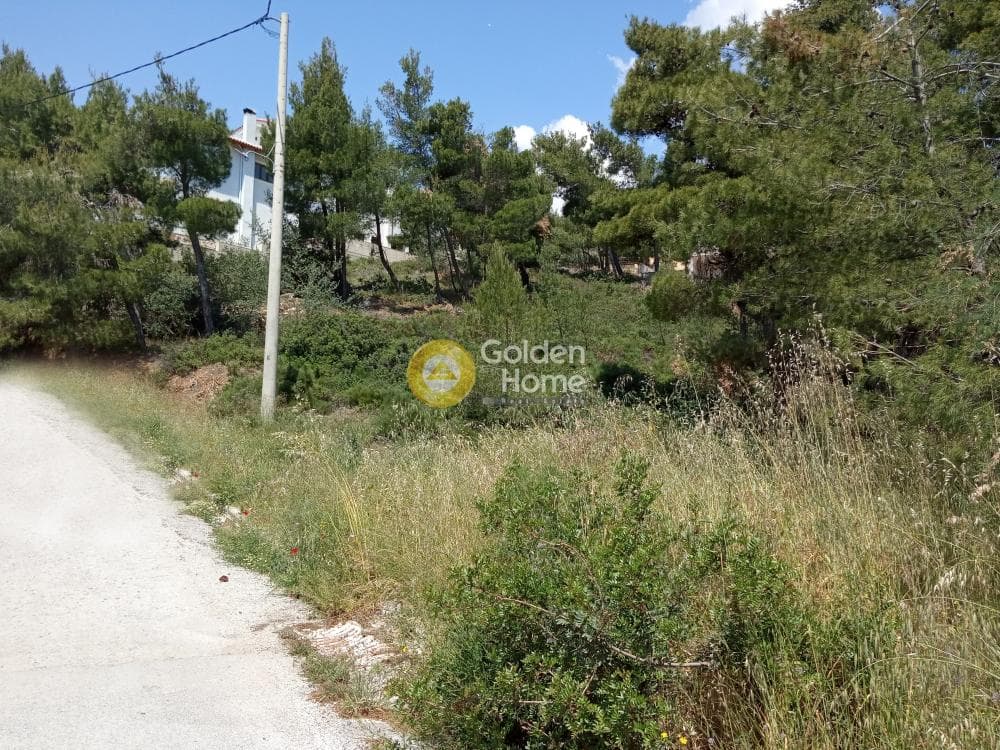 Οικόπεδο στην Δασαμάρι, Πικέρμι — Φωτογραφία 4 από 6