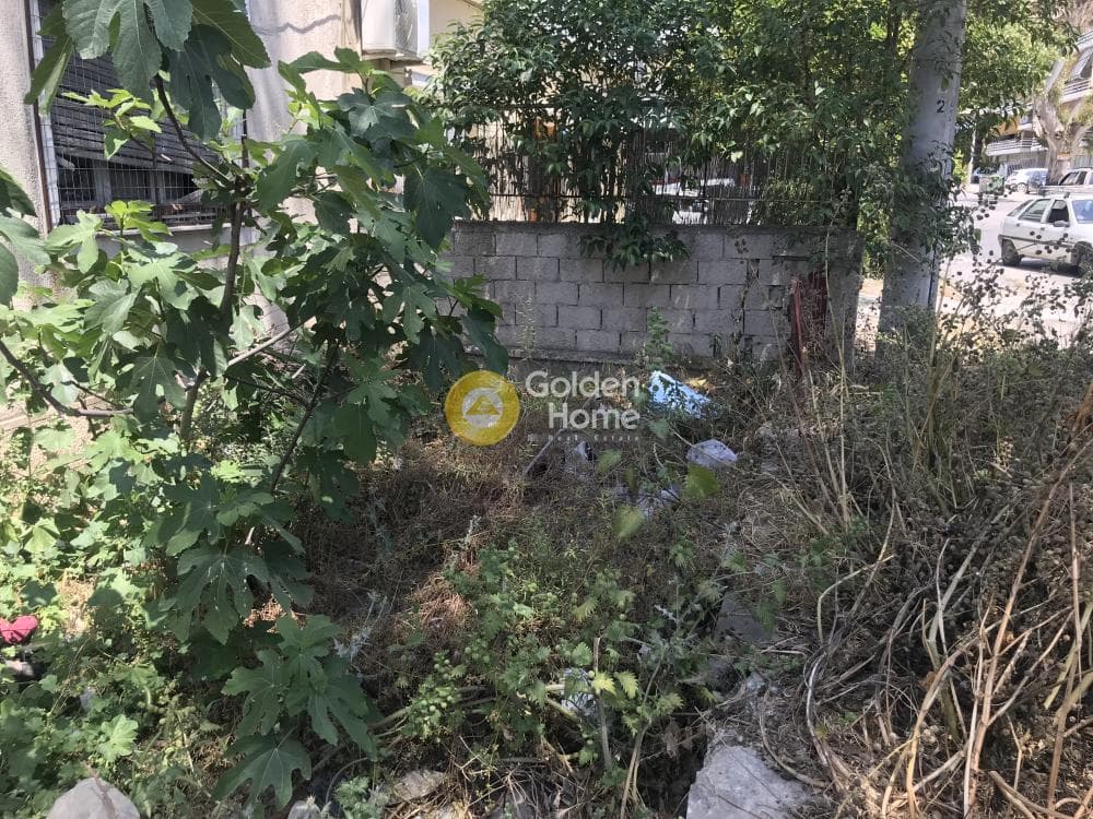 House in Pirgouthi, Acharnes — Photo 4 of 18
