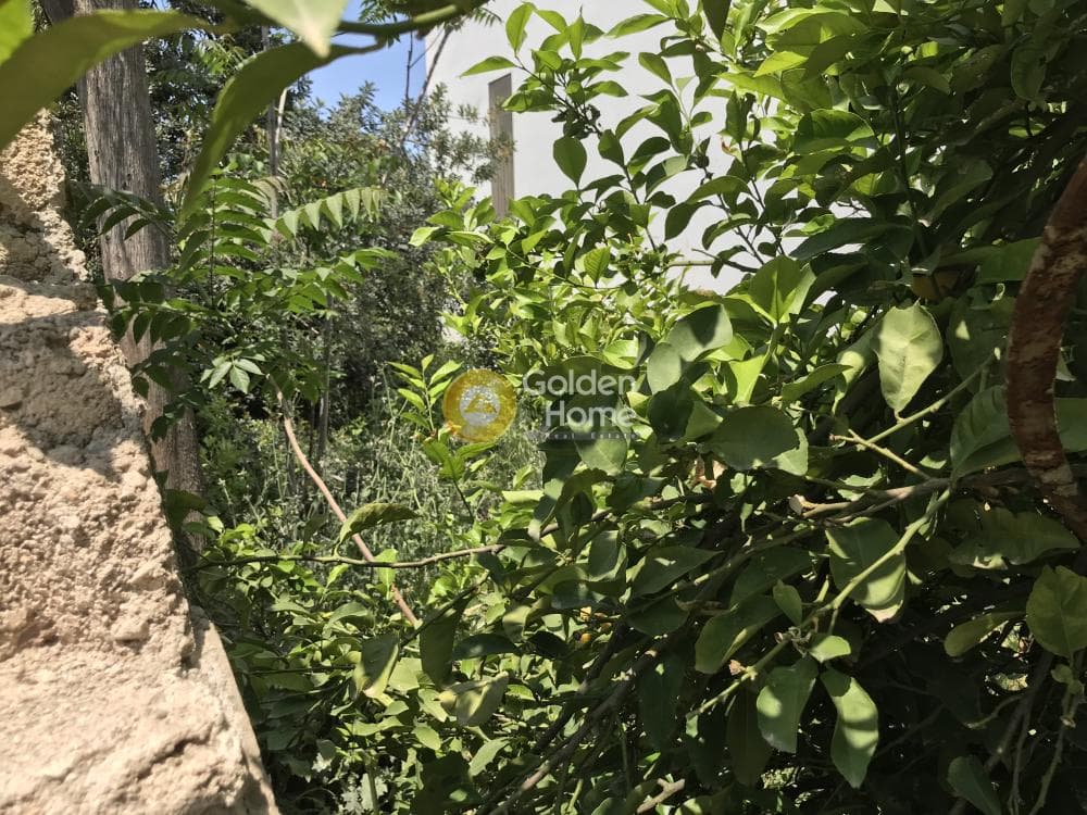 House in Pirgouthi, Acharnes — Photo 14 of 18