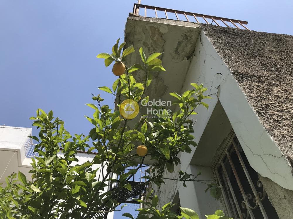 House in Pirgouthi, Acharnes — Photo 10 of 18