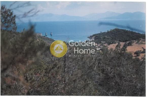 Αγροτεμάχιο στην Γραμματικό - Κέντρο, Γραμματικό — Φωτογραφία 1 από 11