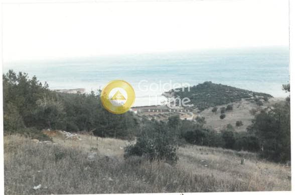 Αγροτεμάχιο στην Γραμματικό - Κέντρο, Γραμματικό — Φωτογραφία 3 από 11