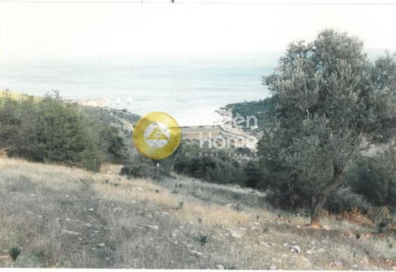 Αγροτεμάχιο στην Γραμματικό - Κέντρο, Γραμματικό — Φωτογραφία 2 από 11