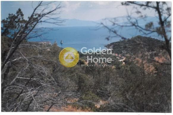 Αγροτεμάχιο στην Γραμματικό - Κέντρο, Γραμματικό — Φωτογραφία 4 από 11