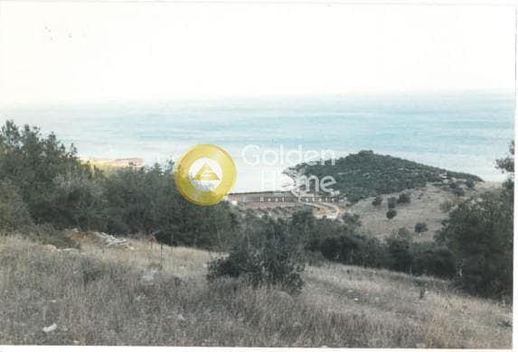 Αγροτεμάχιο στην Γραμματικό - Κέντρο, Γραμματικό — Φωτογραφία 5 από 11