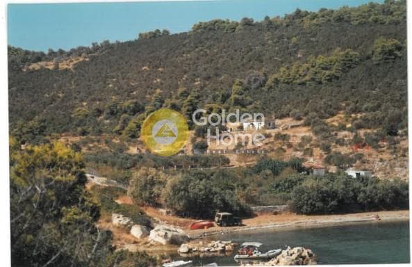 Αγροτεμάχιο στην Γραμματικό - Κέντρο, Γραμματικό — Φωτογραφία 6 από 11