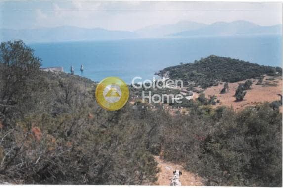 Αγροτεμάχιο στην Γραμματικό - Κέντρο, Γραμματικό — Φωτογραφία 7 από 11
