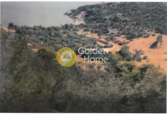 Αγροτεμάχιο στην Γραμματικό - Κέντρο, Γραμματικό — Φωτογραφία 9 από 11