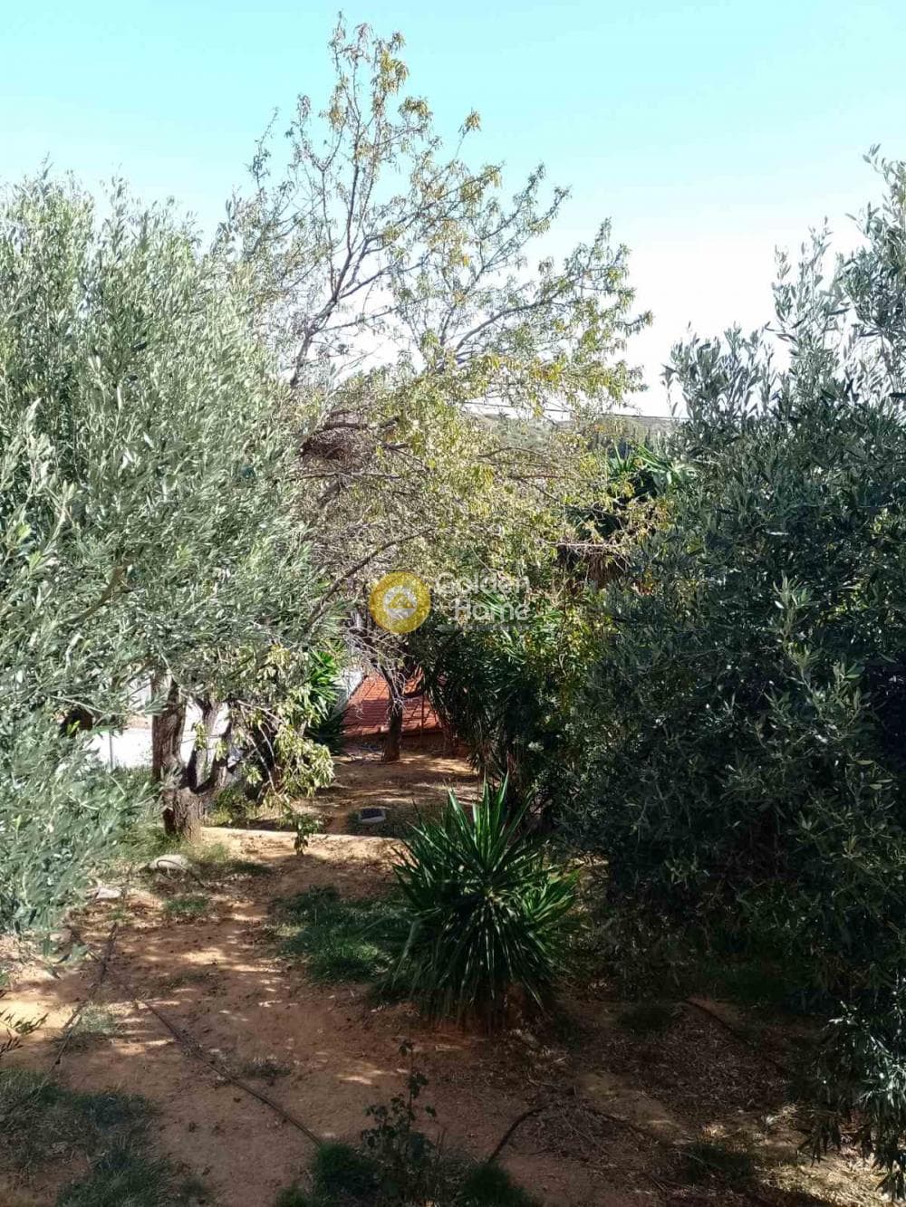 Μονοκατοικία στην Καλλιθέα, Πεντέλη — Φωτογραφία 7 από 9