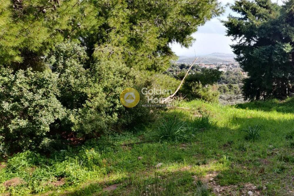 Οικόπεδο στην Άνω Μπαλάνα, Παλλήνη — Φωτογραφία 1 από 8