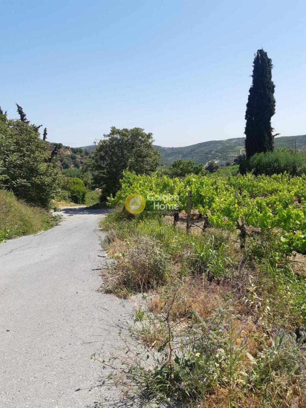 Οικόπεδο στην Γούρνες, Τέμενος — Φωτογραφία 2 από 8