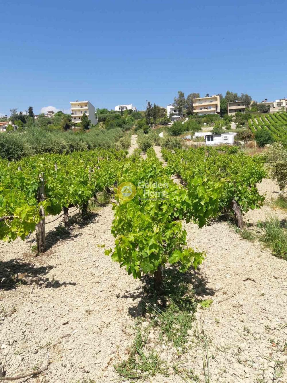 Οικόπεδο στην Γούρνες, Τέμενος — Φωτογραφία 3 από 8