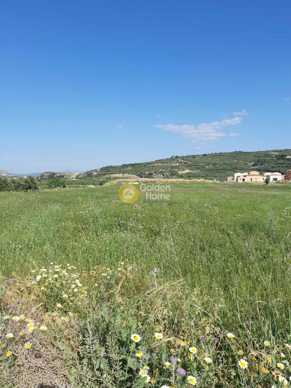 Οικόπεδο στην Αυγενική, Τετραχώρι — Φωτογραφία 4 από 5