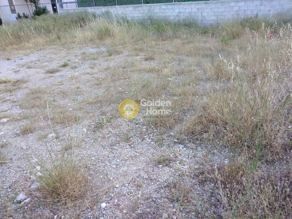 Οικόπεδο στην Μεγάλα Σχοινία Α, Αχαρνές — Φωτογραφία 5 από 6