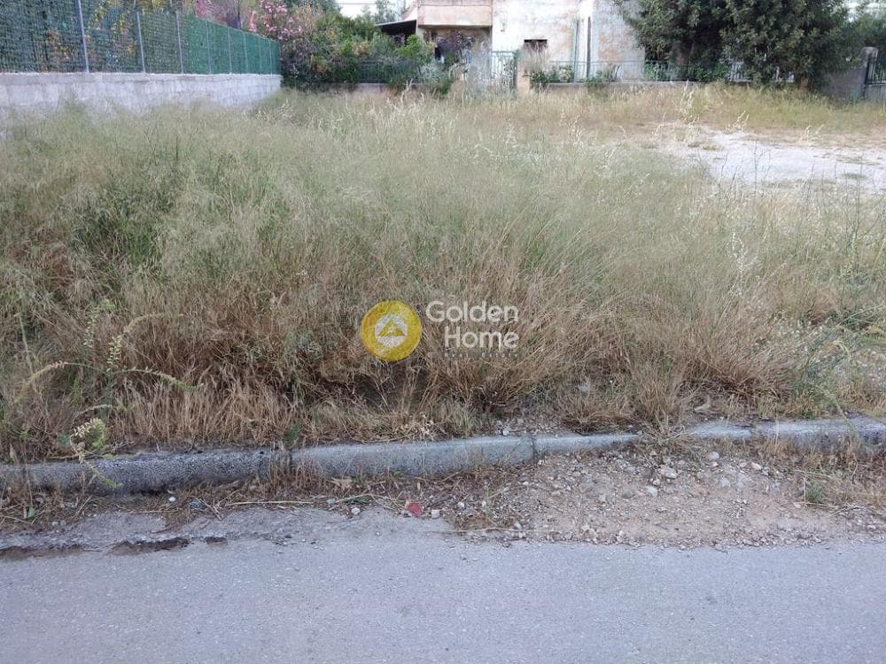 Οικόπεδο στην Μεγάλα Σχοινία Α, Αχαρνές — Φωτογραφία 4 από 6