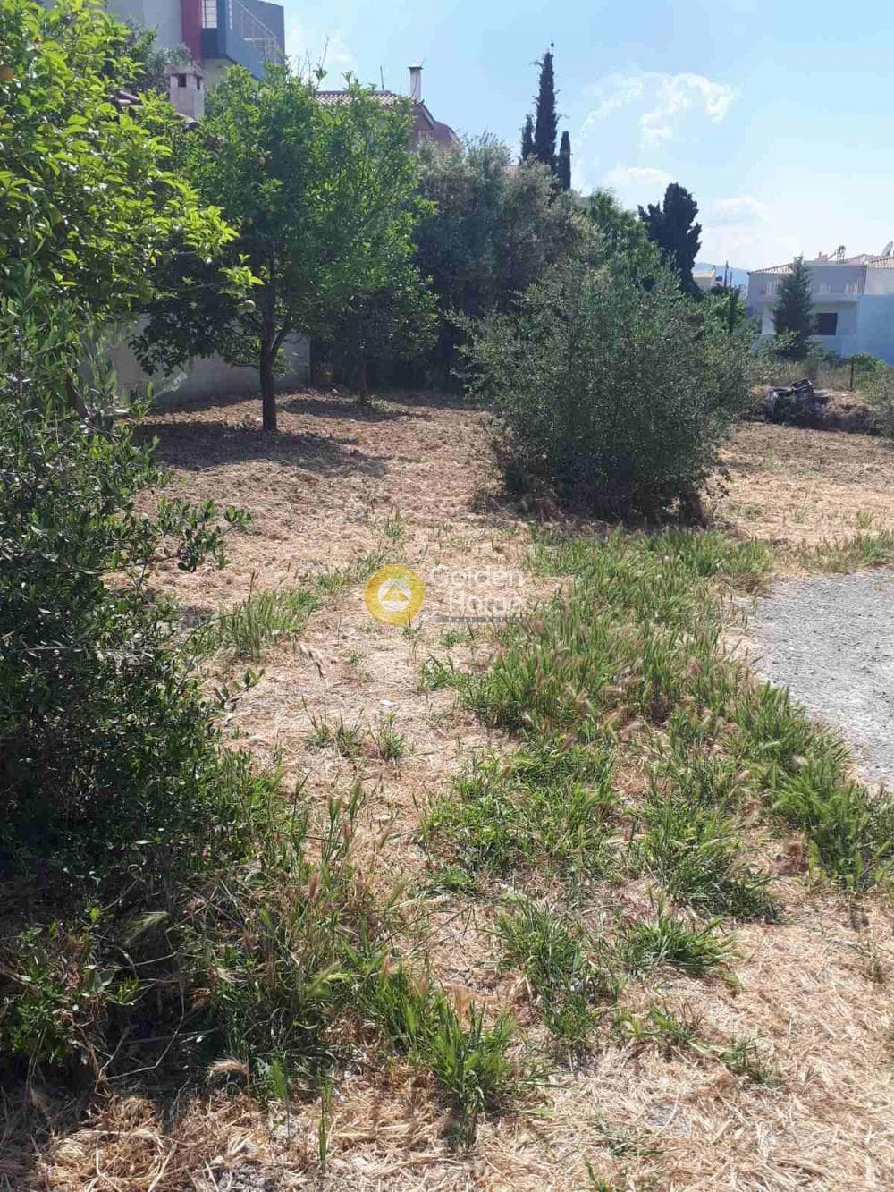 Οικόπεδο στην Σίλαμος, Αρχάνες — Φωτογραφία 1 από 12