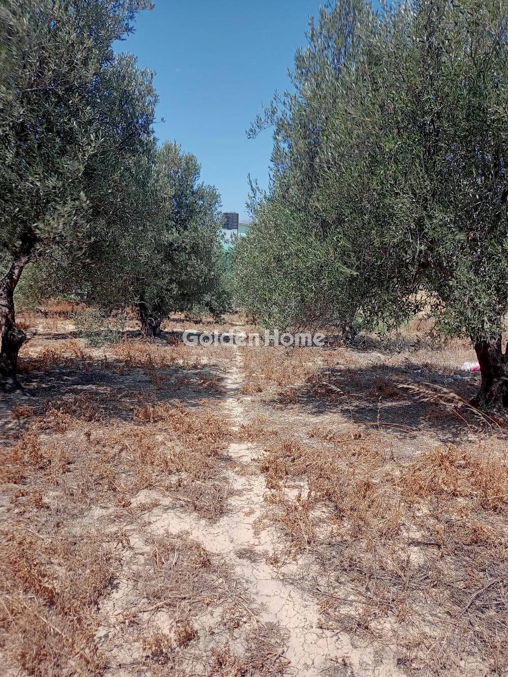 Οικόπεδο στην Πατσίδες, Αρχάνες — Φωτογραφία 1 από 3