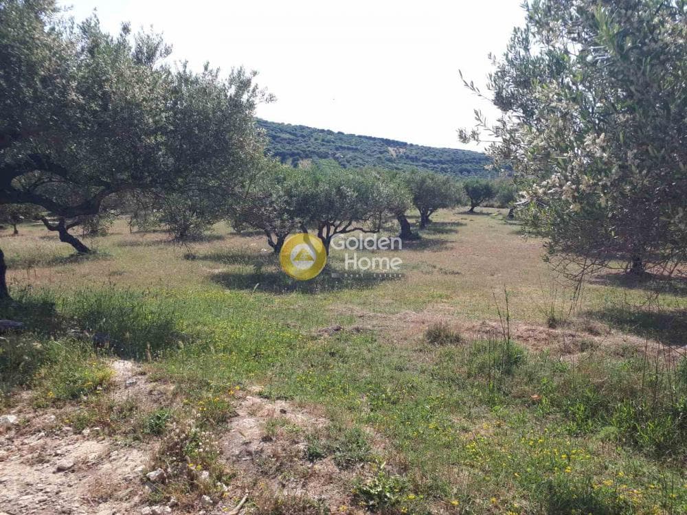 Parcel in Sgourokefali, Episkopi — Photo 3 of 15
