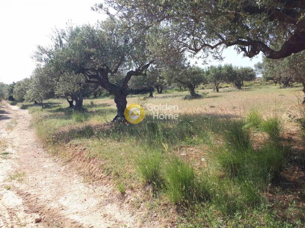 Parcel in Sgourokefali, Episkopi — Photo 4 of 15