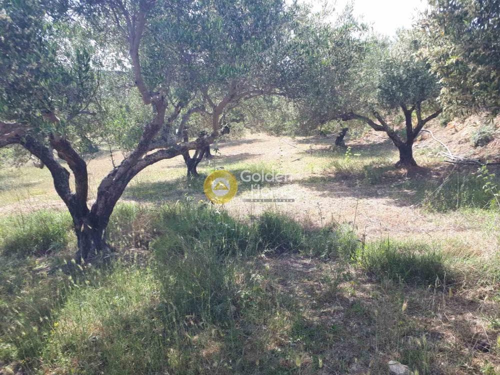 Parcel in Sgourokefali, Episkopi — Photo 5 of 15